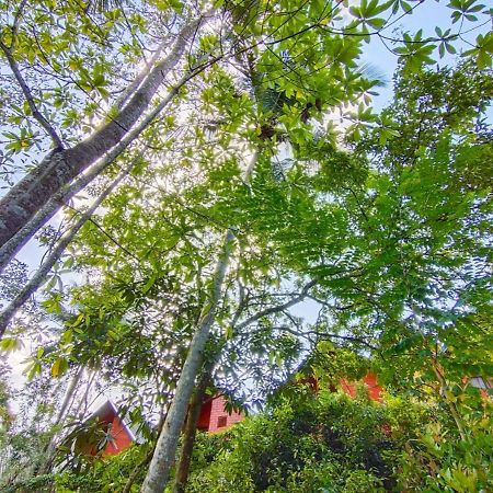 Cinnamon Village Sinharaja 데니야야 외부 사진
