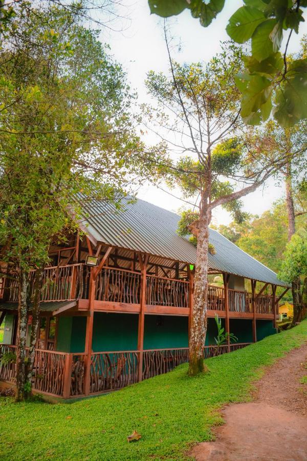 Cinnamon Village Sinharaja 데니야야 외부 사진