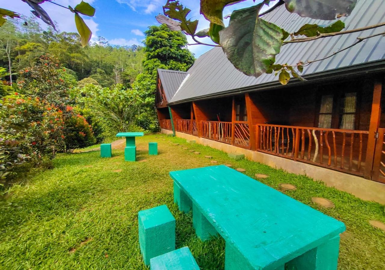 Cinnamon Village Sinharaja 데니야야 외부 사진