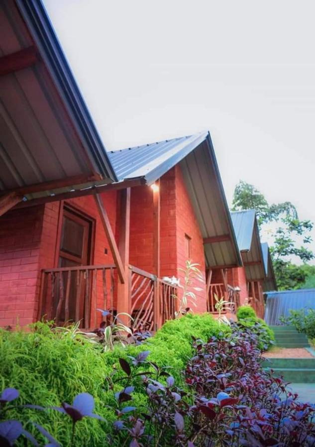 Cinnamon Village Sinharaja 데니야야 외부 사진