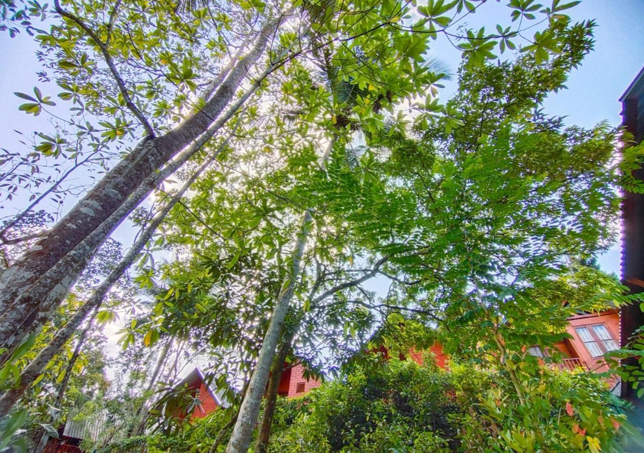 Cinnamon Village Sinharaja 데니야야 외부 사진
