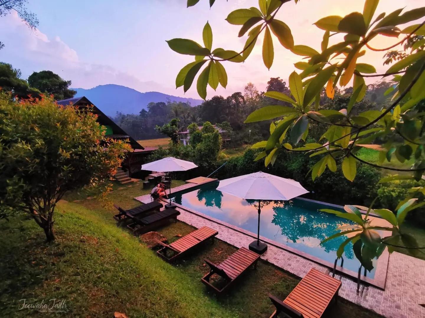 Cinnamon Village Sinharaja 데니야야 외부 사진