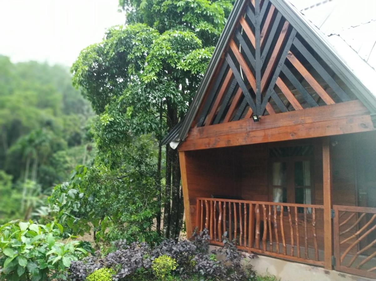 Cinnamon Village Sinharaja 데니야야 외부 사진
