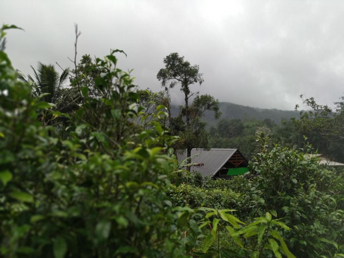 Cinnamon Village Sinharaja 데니야야 외부 사진
